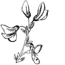 //hk.davines.com/cdn/shop/t/7/assets/davines-line-finest-pigment-deco-1.jpg?v=31471944834081645081621003851