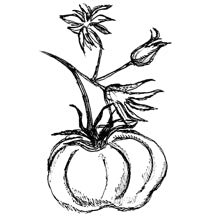 //hk.davines.com/cdn/shop/t/7/assets/davines-line-finest-pigment-deco-2.jpg?v=79889010406983862501621003833