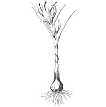 //hk.davines.com/cdn/shop/t/7/assets/davines-line-finest-pigment-deco-3.jpg?v=146126695551628076941621003825