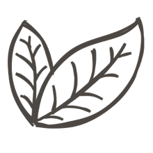 //hk.davines.com/cdn/shop/t/7/assets/davines-line-single-shampoo-deco-1.png?v=183516140813493506251621003824