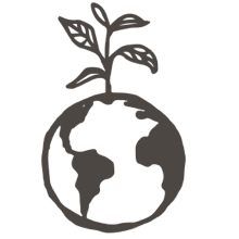 //hk.davines.com/cdn/shop/t/7/assets/davines-line-single-shampoo-deco-2.png?v=137127386204860403571621003858