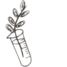 //hk.davines.com/cdn/shop/t/7/assets/davines-line-single-shampoo-deco-3.png?v=134859518317833459071621003848