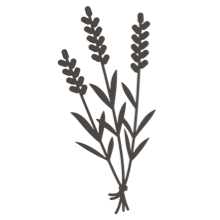 //hk.davines.com/cdn/shop/t/7/assets/davines-line-single-shampoo-deco-4.png?v=10996012474181549121621003827