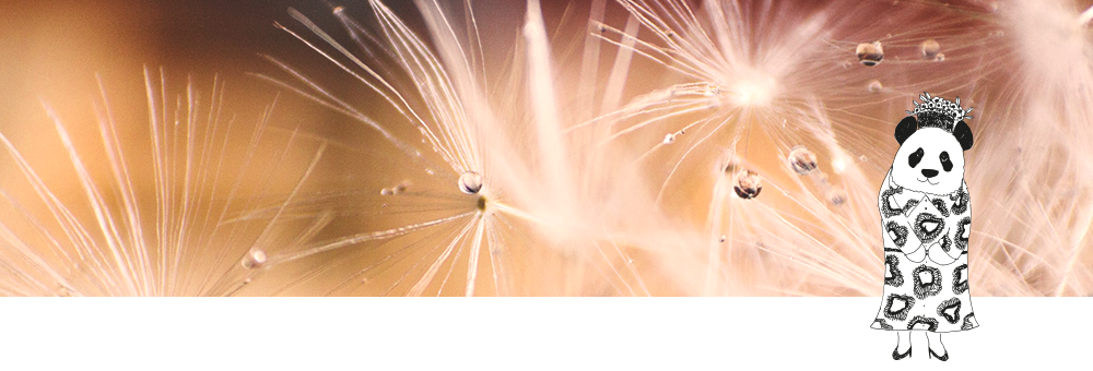 噴霧或造型噴霧