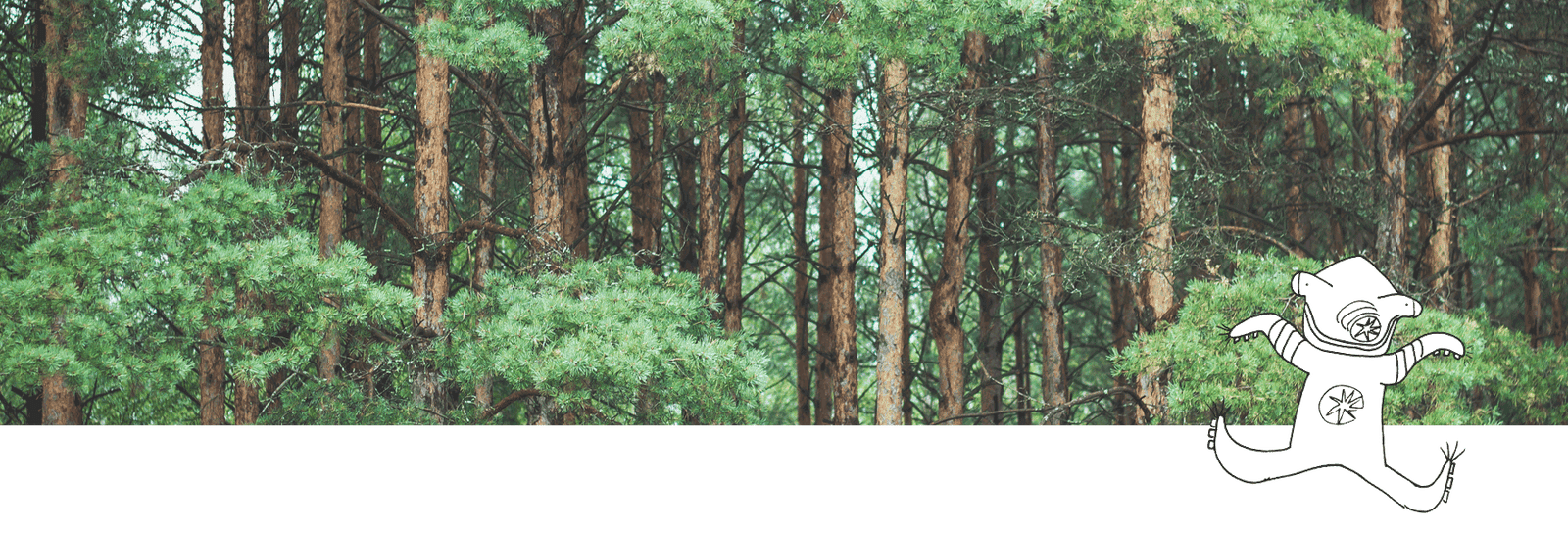 健康或正常頭髮