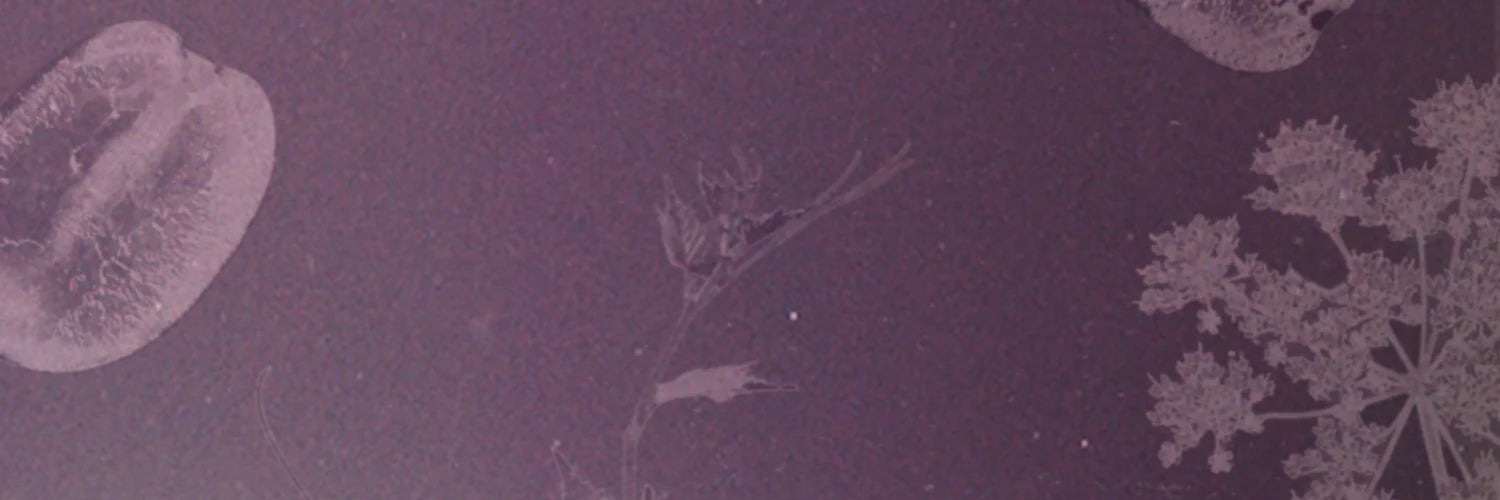 保護生物多樣性及支持地球再生